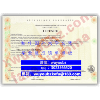 university-lille-diploma