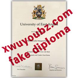 东安格利亚大学文凭（University of East Anglia diploma)