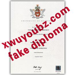 布拉德福德大学文凭 （University of  Bradford diploma）